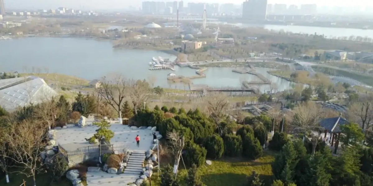 一个赌狗的内心独白